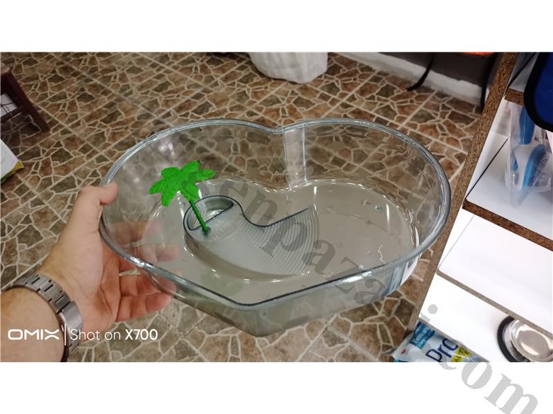 PrehistoricPets güvencesi ile KIRMIZI YANAK