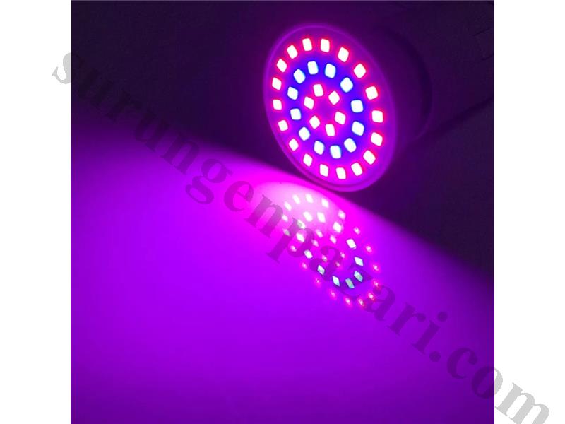Bitki Lambası 36 Ledli 1 (Adet)