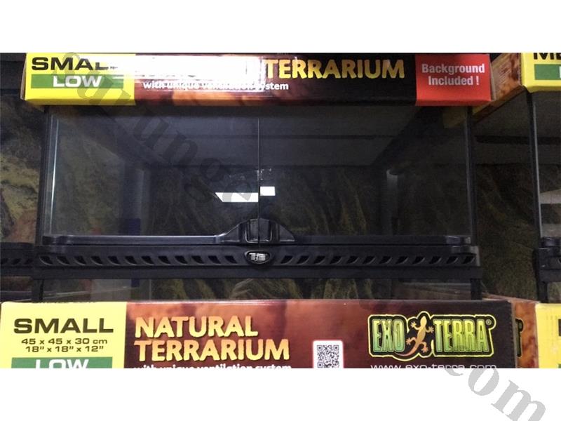 Exo Terra 45*45*30 Teraryum