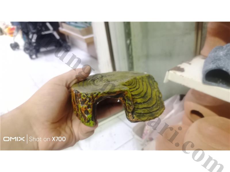 PrehistoricPets güvencesi ile FAT TAİL GECKO